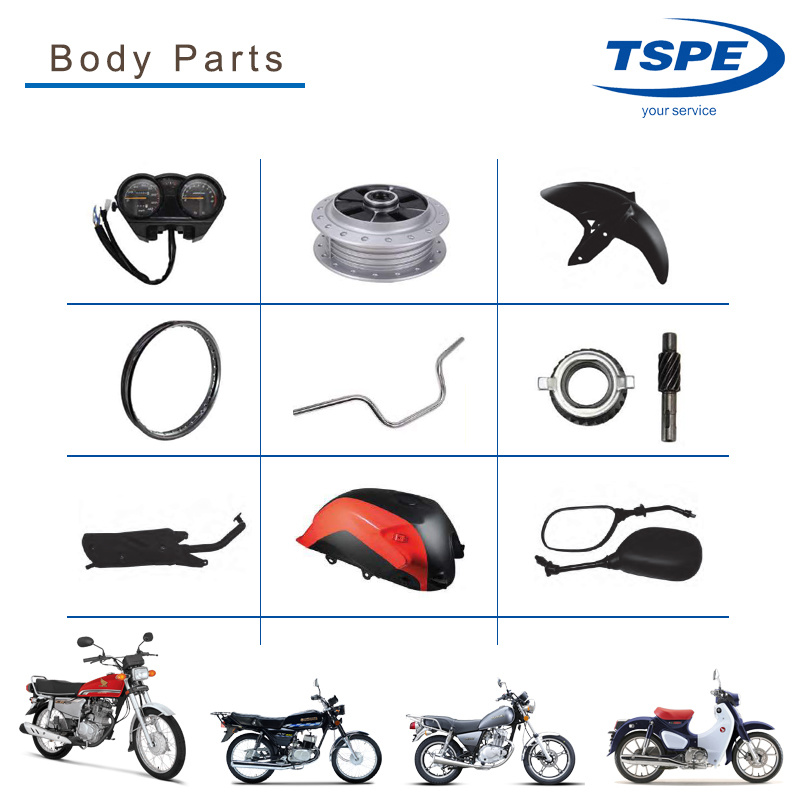Motorcycle Body Parts Side Cover Motorcycle Parts for Gts-175